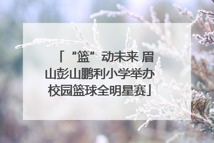 “篮”动未来 眉山彭山鹏利小学举办校园篮球全明星赛